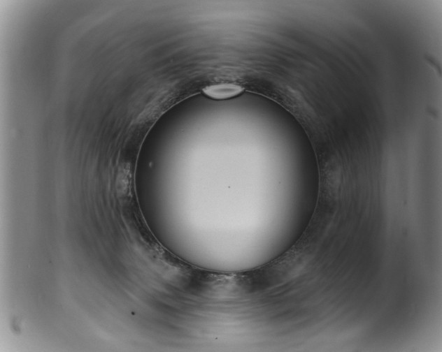 X0000100360083200806061149