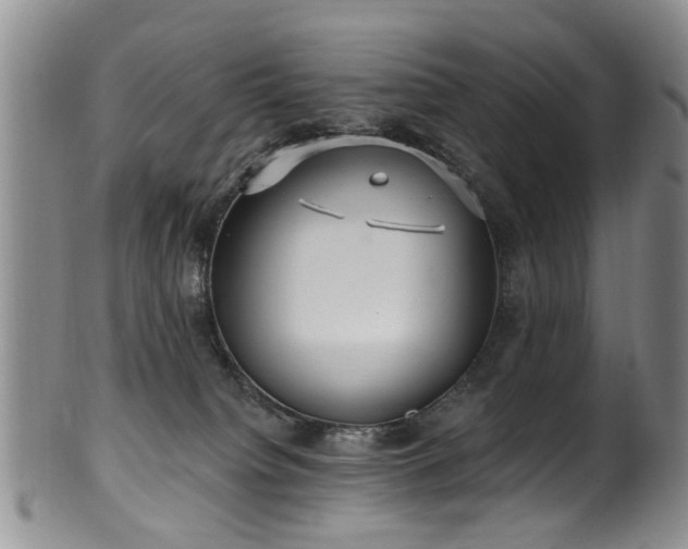 X0000100360084200806061149