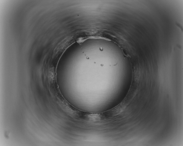 X0000100360085200806061149