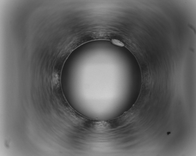 X0000100360087200806061149