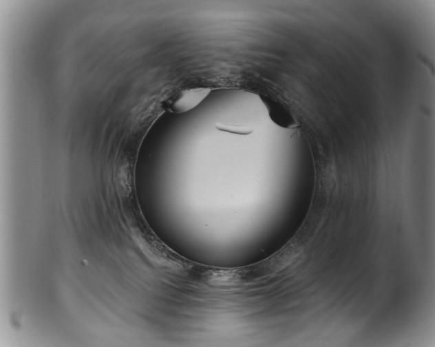 X0000100360088200806061149