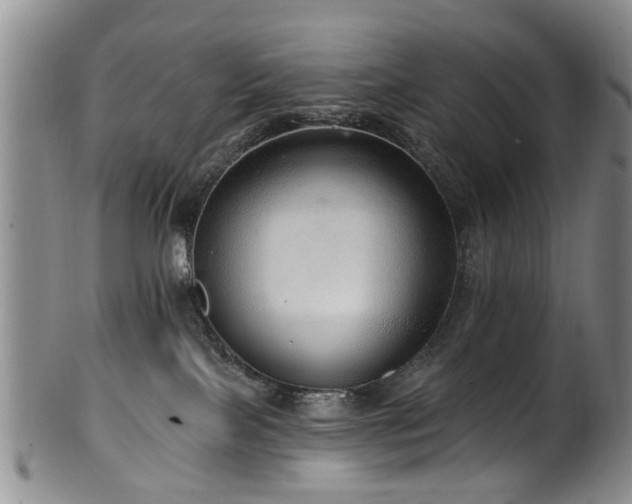 X0000100360089200806061149