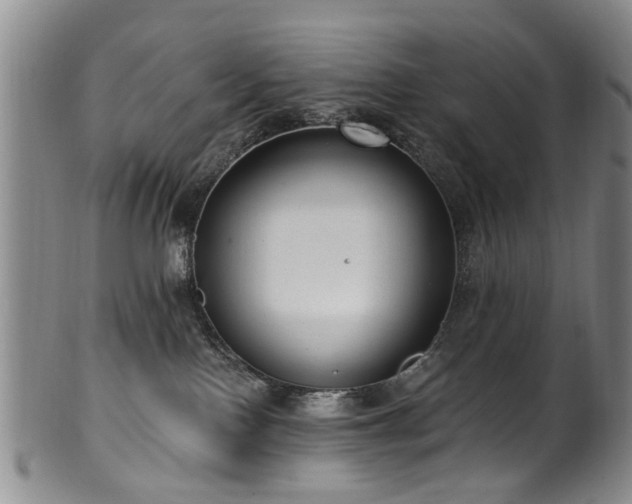 X0000100360090200806061149