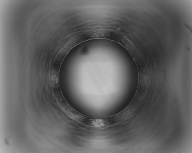 X0000100360091200806061149