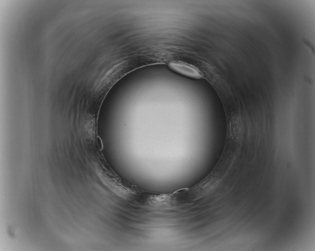 X0000100360092200806061149