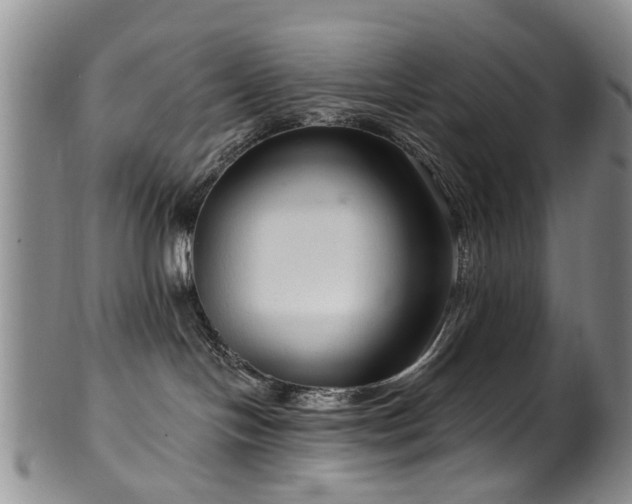 X0000100360094200806061149