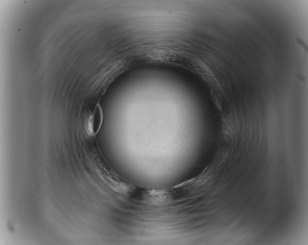 X0000100360095200806061149