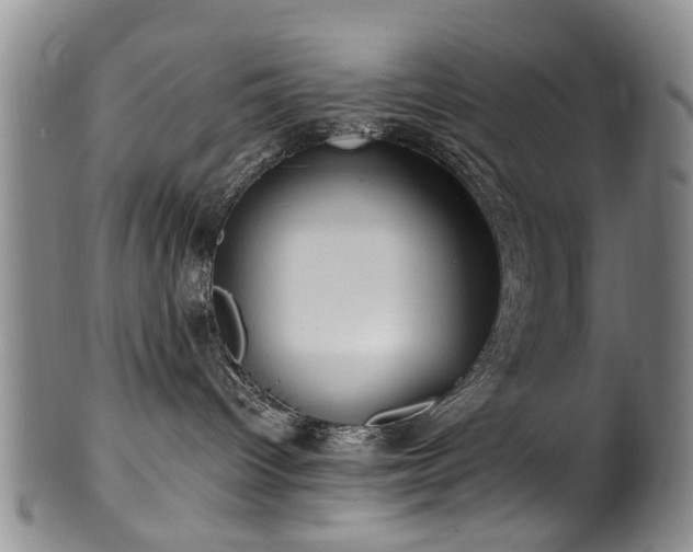 X0000100360096200806061149