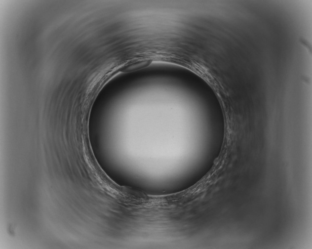 X0000100360097200806061148