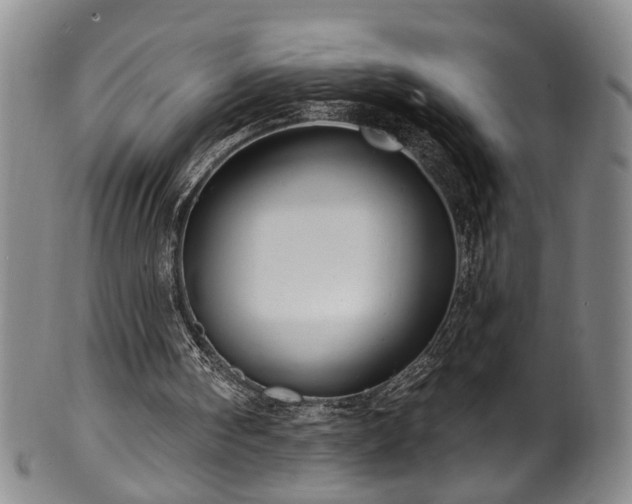 X0000100360098200806061148