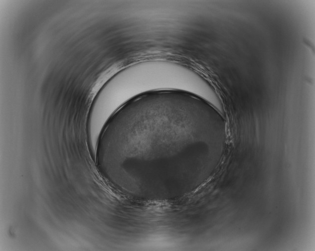 X0000100360099200806061148