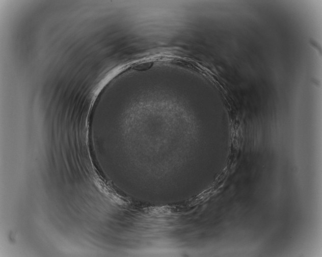 X0000100360100200806061148