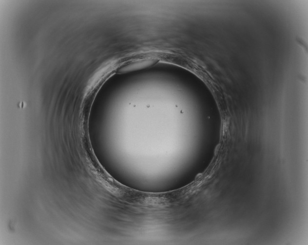 X0000100360101200806061148