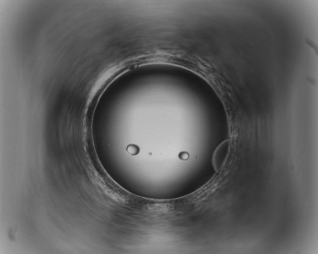 X0000100360102200806061148