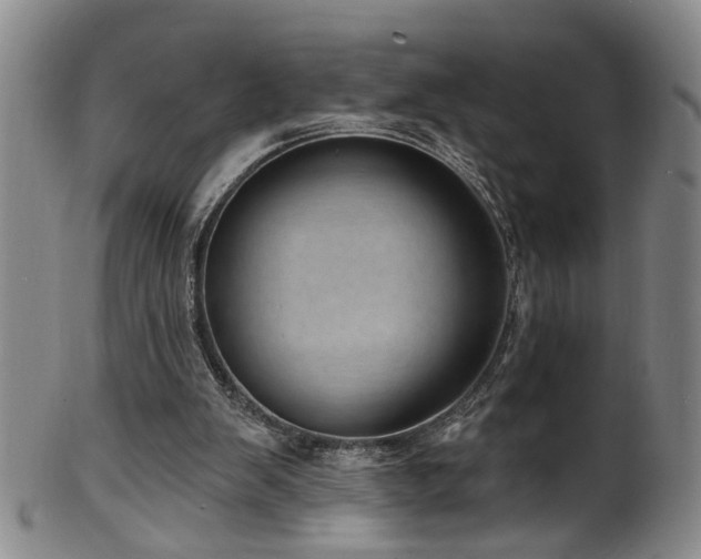 X0000100360103200806061148