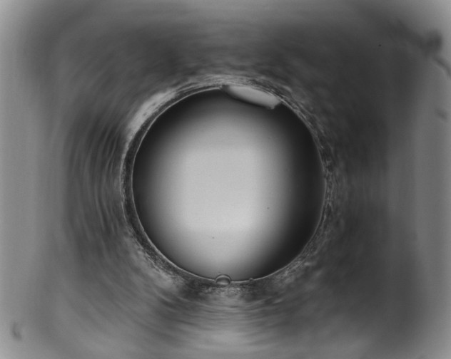 X0000100360104200806061148