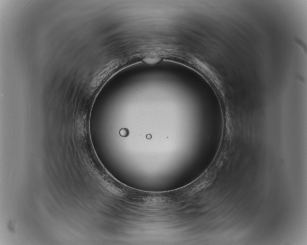 X0000100360105200806061148