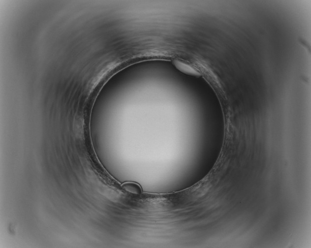 X0000100360108200806061148