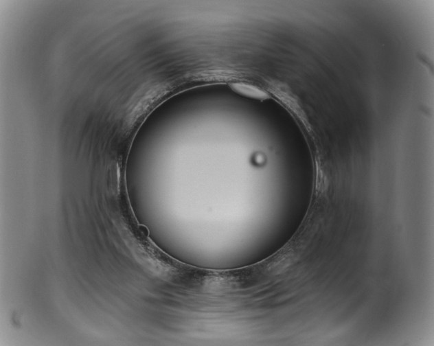 X0000100360109200806061148