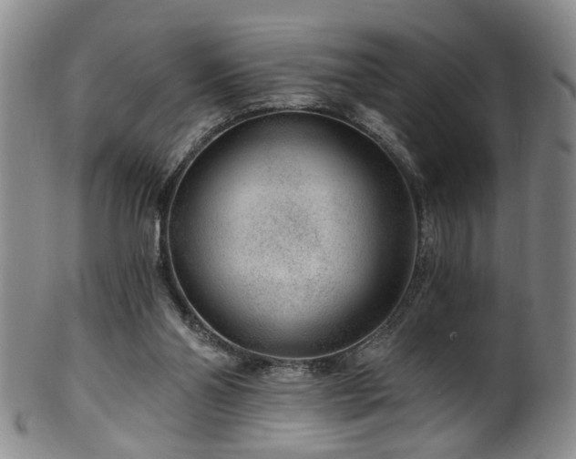 X0000100360110200806061148