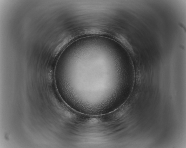 X0000100360111200806061148