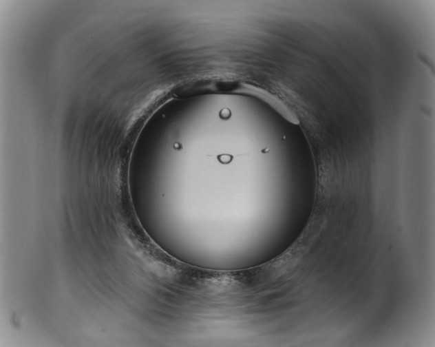 X0000100360112200806061148