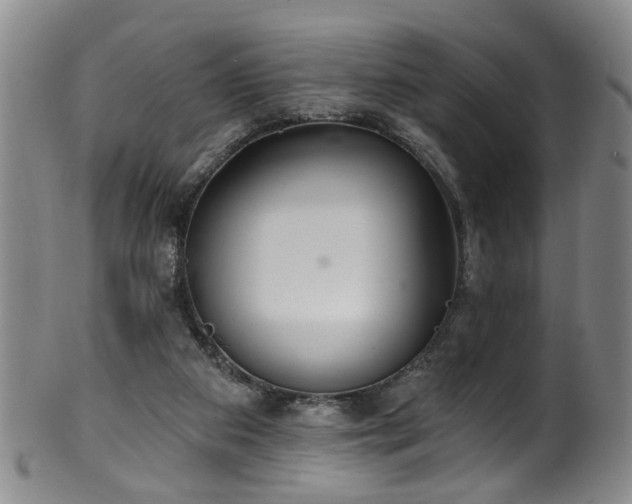 X0000100360113200806061148