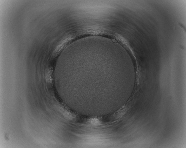 X0000100360114200806061148