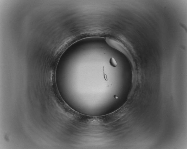 X0000100360115200806061148