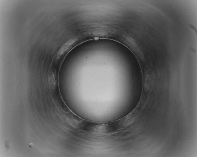 X0000100360116200806061148