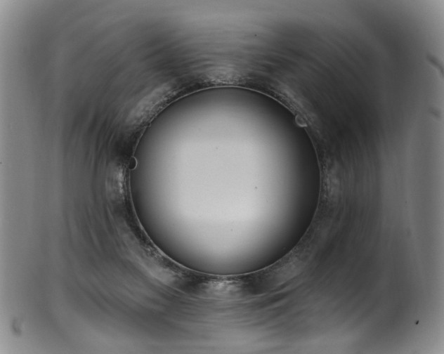 X0000100360117200806061148