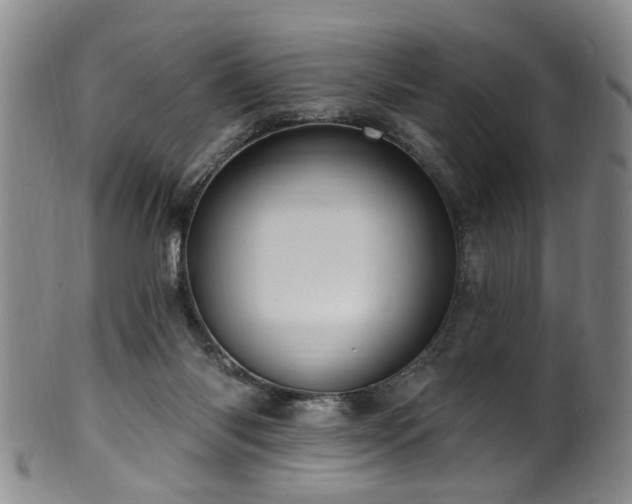 X0000100360118200806061148