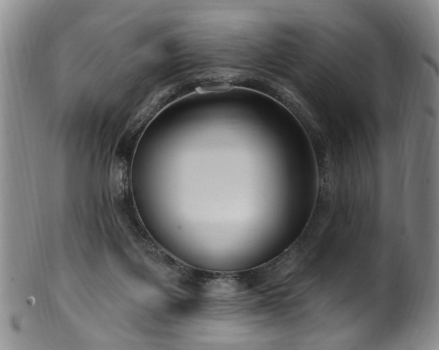 X0000100360119200806061148