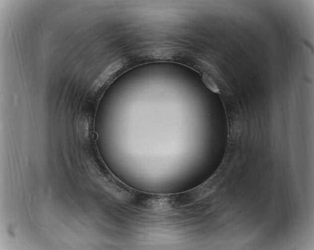 X0000100360120200806061148