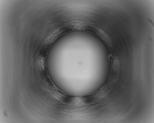 X0000100360121200806061148