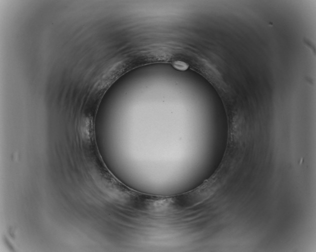 X0000100360122200806061148