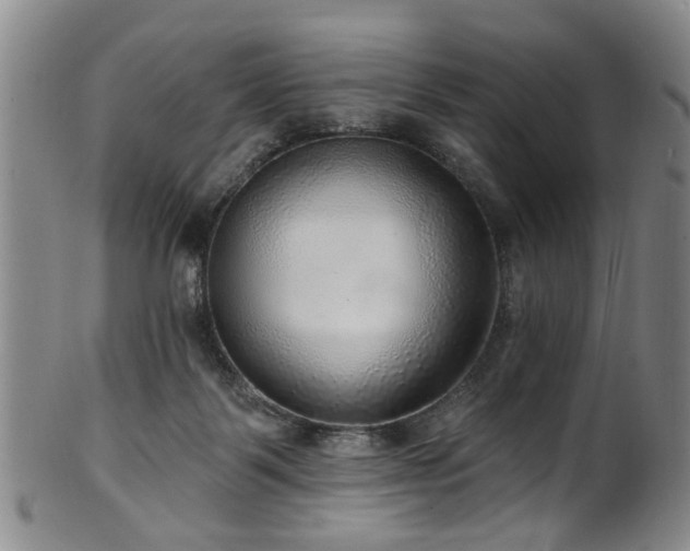 X0000100360123200806061148