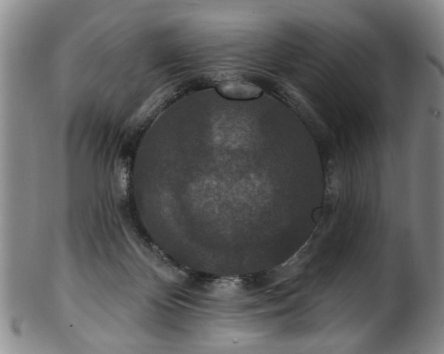 X0000100360124200806061148