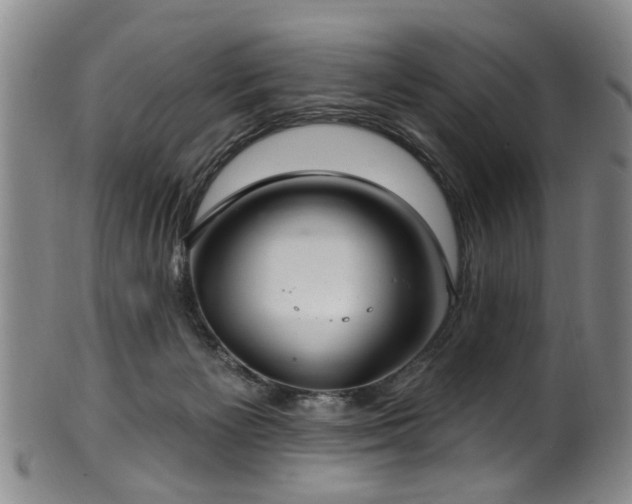 X0000100360125200806061147