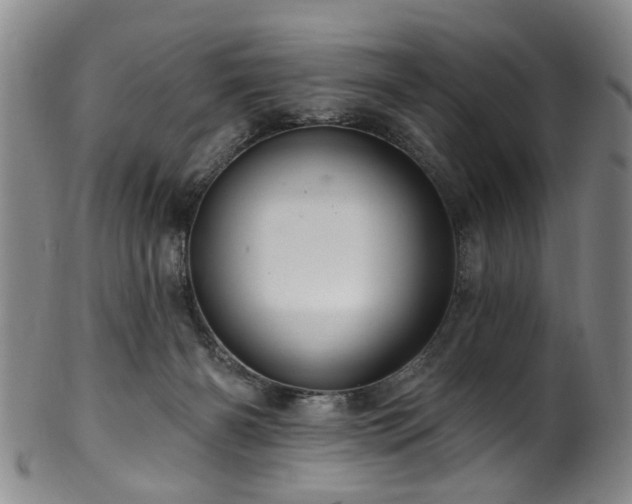 X0000100360126200806061147