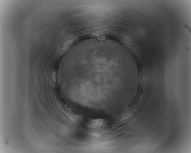 X0000100360127200806061147