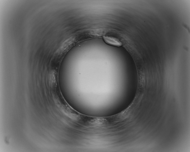 X0000100360128200806061147