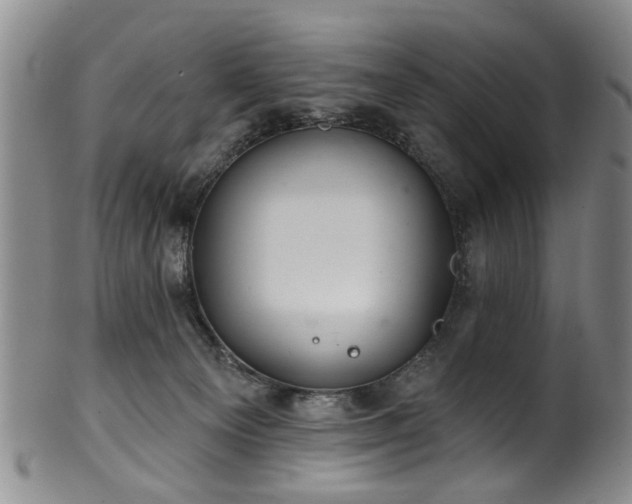 X0000100360129200806061147