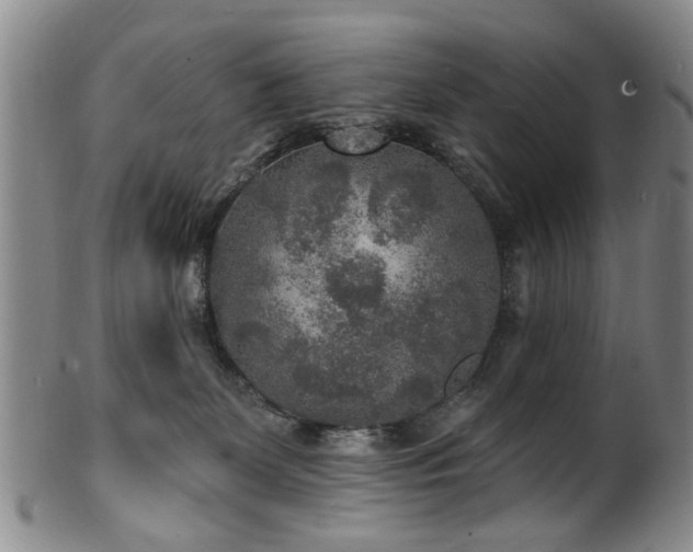 X0000100360131200806061147