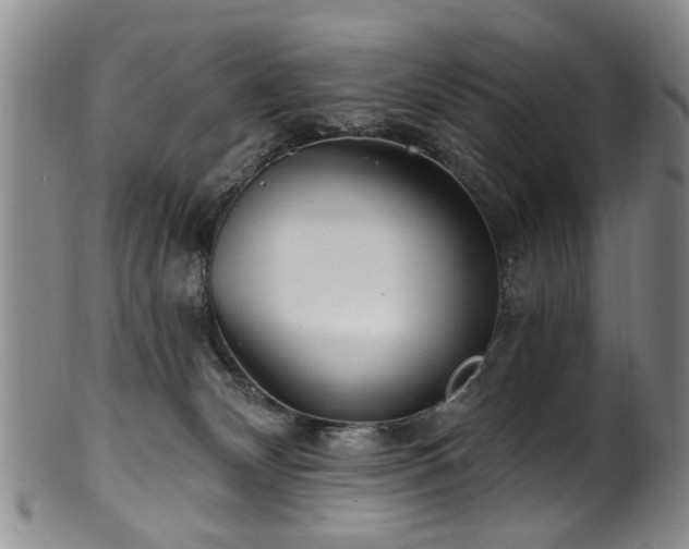 X0000100360132200806061147