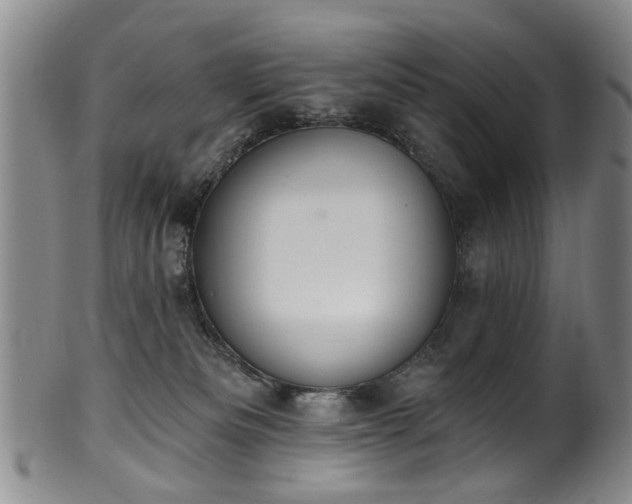 X0000100360133200806061147