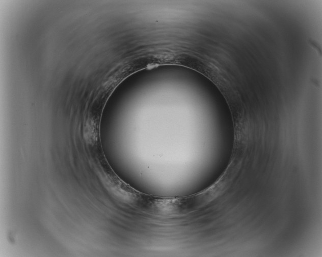 X0000100360136200806061147