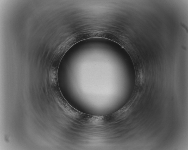 X0000100360138200806061147