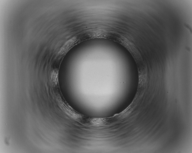 X0000100360142200806061147