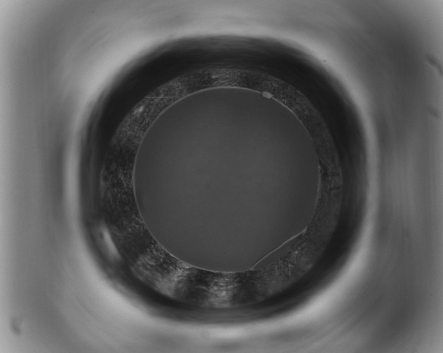 X0000100360143200806061147